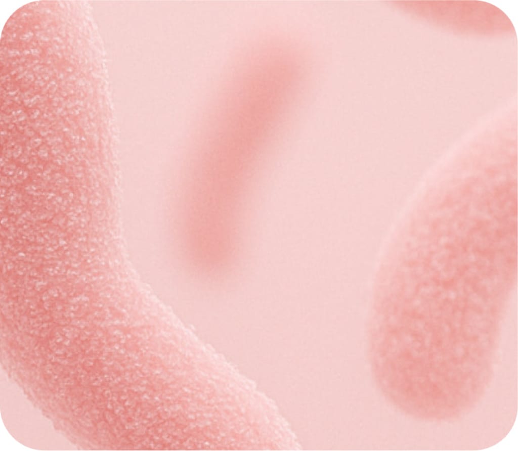 Good Girl Probiotics®