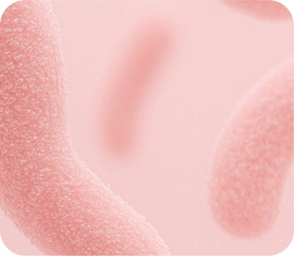 Good Girl Probiotics®